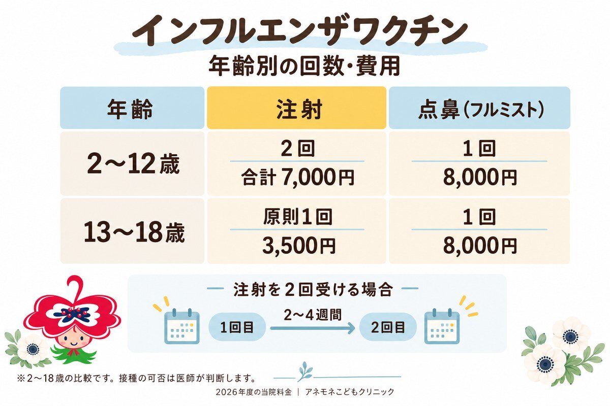 年齢別の接種回数と費用。2〜12歳は注射2回で合計7,000円、点鼻1回で8,000円。13〜18歳は注射が原則1回で3,500円、点鼻1回で8,000円。注射を2回受ける場合は2〜4週間あけます。